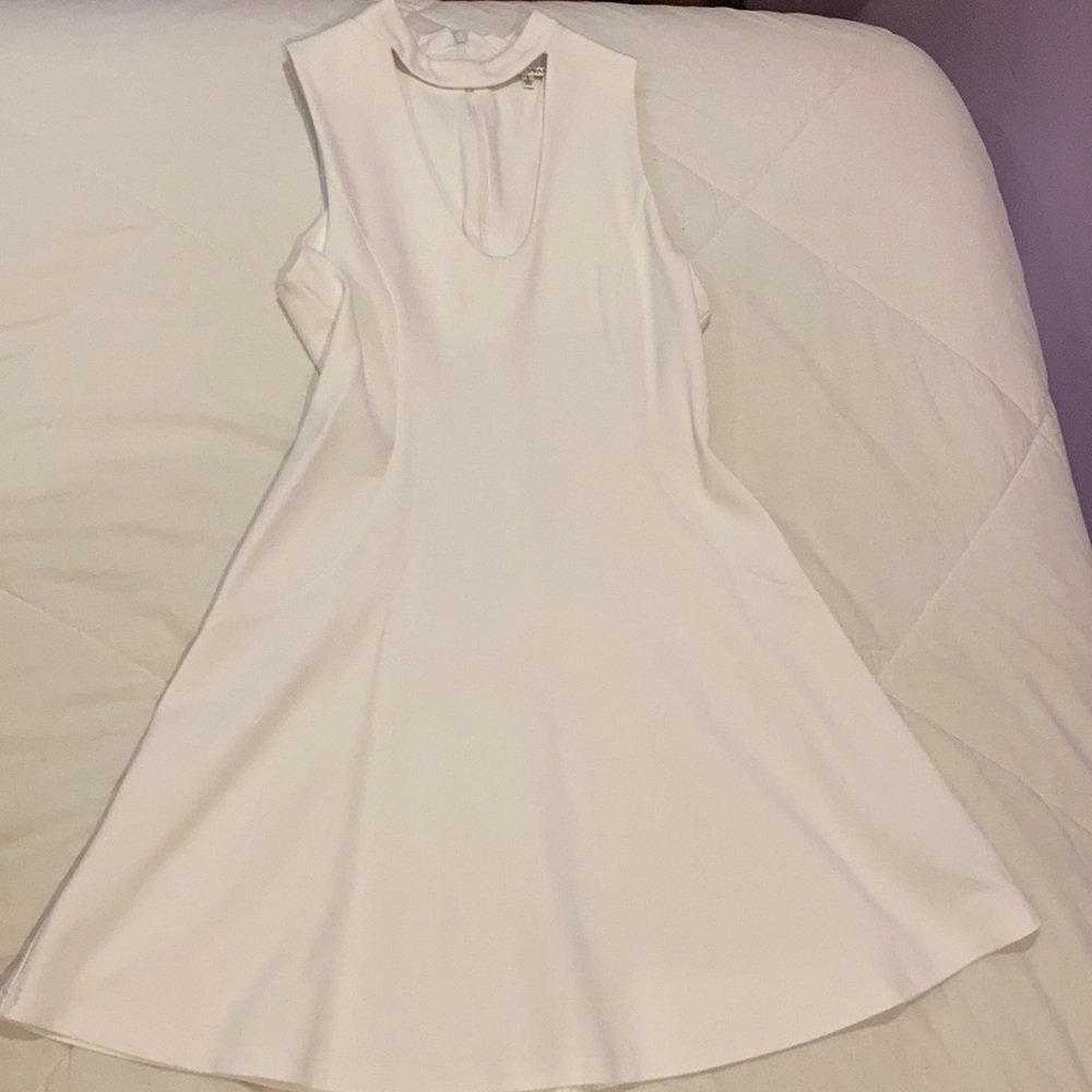 Black Swan Party Dress